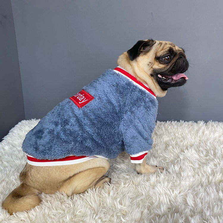 Haustierpullover - Warme Winterkleidung für Hunde & Katzen