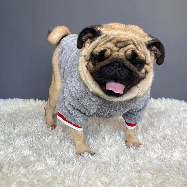 Haustierpullover - Warme Winterkleidung für Hunde & Katzen