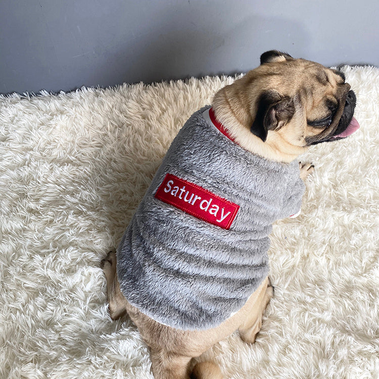 Haustierpullover - Warme Winterkleidung für Hunde & Katzen